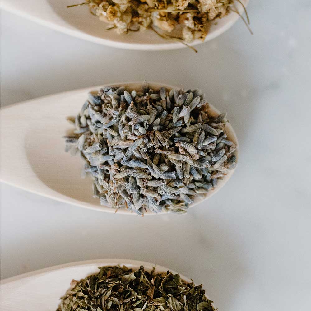 Spoons of botanical elements on a table